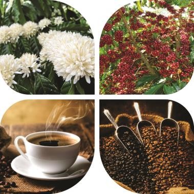 lễ hội c&agrave; ph&ecirc;