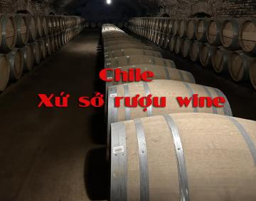 Diễn đàn doanh nghiệp Việt Nam - Chile